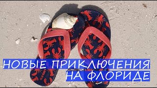 Акулы в Мексиканском заливе, мощные лодки, белые песчаные пляжи. Новое видео.