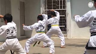 The Triumph of Taekwondo at Arafah Group of Institutions. Promo video