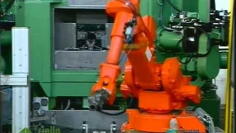 Riello Rotary Transfer Machine : various applications differents sector