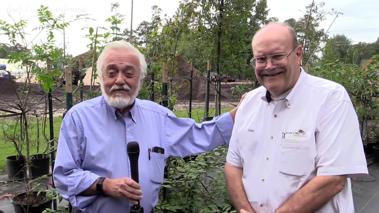 conroe tx hotels Gulf Coast Gardening with Nature's Way Resources - 020