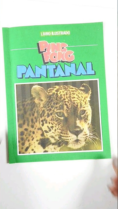 Album de Figurinhas Chiclete Ping Pong Pantanal Completo 1990