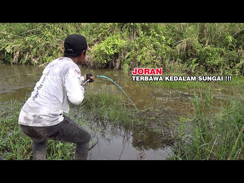 Joran pemancing tak sanggup lagi melawan tarikan liar ikan penghuni sungai #SG-164