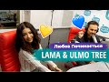 ГІМН КОХАННЯ: Lama &amp; Ulmo Tree - Любов Починається | НАШЕ РАДІО (16.02.2022)