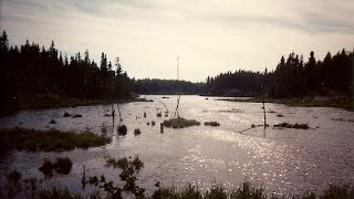 Getting lost is dangerous as hell (Hiking tips Pt. 35)
