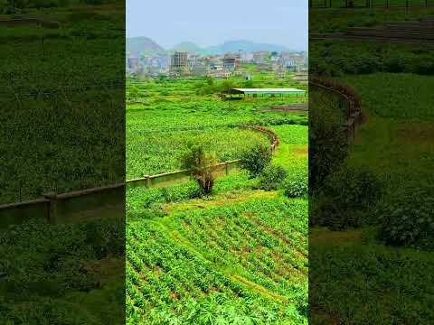 اليمن إب اكسبلور  عمان تصويري السعودية فولو العراق ترند امطار مصر طرب فن