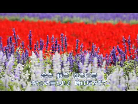 桃色吐息/高橋真梨子【coverrd by bee♪】歌詞付。 高音質