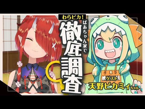 【#わらピカ】ついにピカミィちゃんを徹底調査！【鬼灯わらべ/天野ピカミィ】