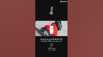 #سورة_طه #قرآن #quran #تلاوه #تلاوات #تلاوة_خاشعة #اكسبلور