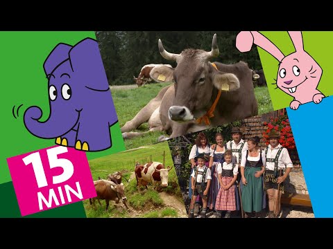 Hallo Elefant - Sommer auf der Alpe & Wie wird Bergkäse hergestellt? | Der Elefant | WDR