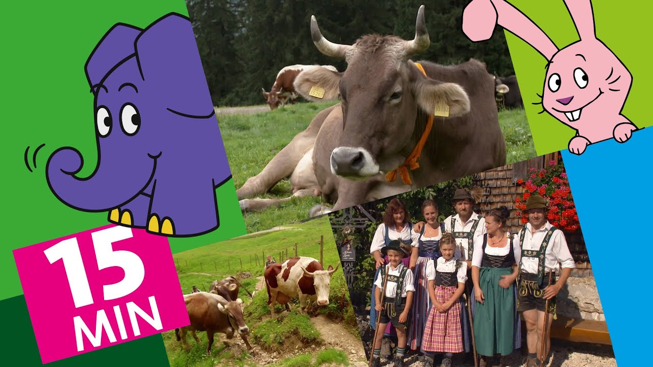 Hallo Elefant - Sommer auf der Alpe & Wie wird Bergkäse hergestellt? | Der Elefant | WDR
