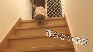 犬用の階段滑り止めコーディングで家庭崩壊!?