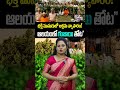 పూజారి గంజాయి సాగు… గుడి వెనకాలే దుకాణం ||