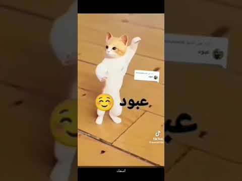 اغنية عبود عبود و الحلو العبود