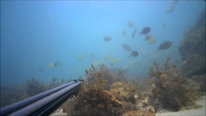 Guam spearfishing jamal's  first video