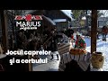 Marius Zgâianu - Jocul caprelor şi cerbului - Contact: Tel: 0742 080 183 / www.mariuszgaianu.ro