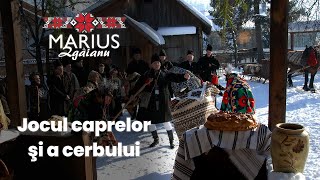 Marius Zgâianu - Jocul caprelor şi a cerbului chords