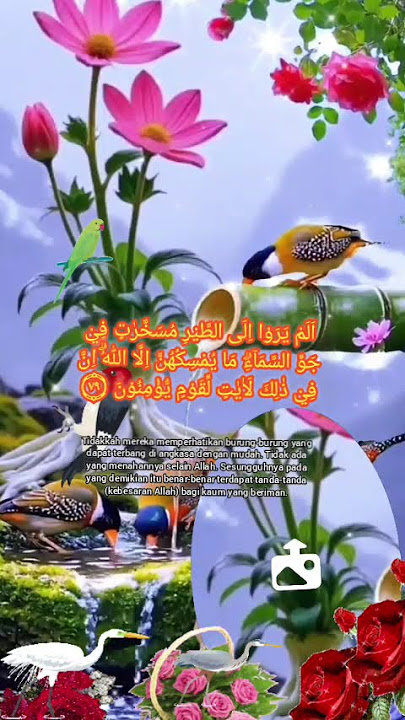 QS.Surah An-Nahl Ayat 79 #alquranulkarim #sejutaquran