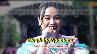 Download Lagu TARLING YANG LAGI VIRAL!! TASYA ROSMALA - NGAPLANG NGAPLANG || SELIYA MARSELLA GROUP MP3