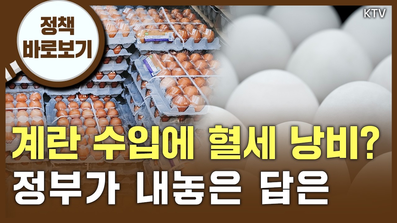 브라질 계란이 무더기로?···국산은 안 챙긴다는 오해 풉니다