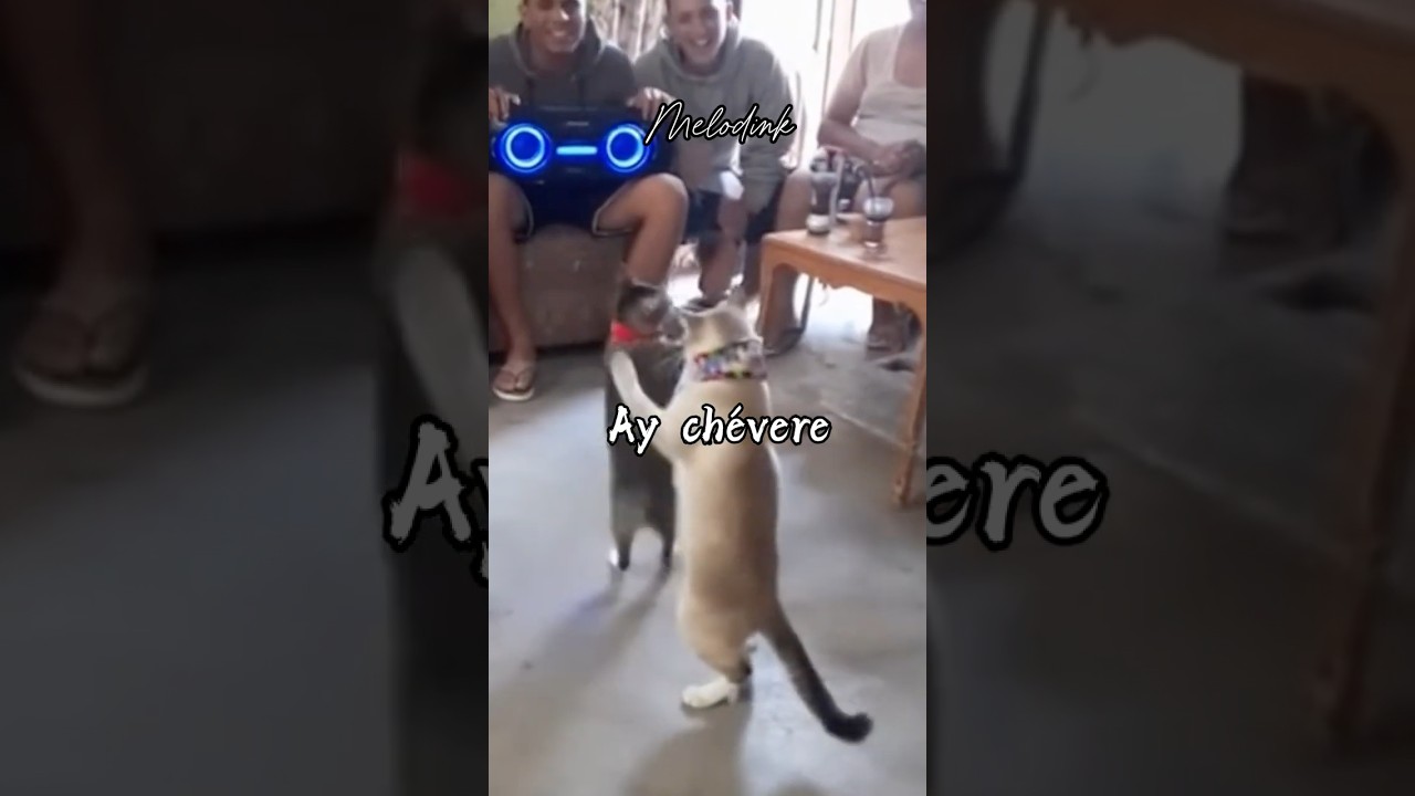 Ay chévere #letra #melodink #tiktok
