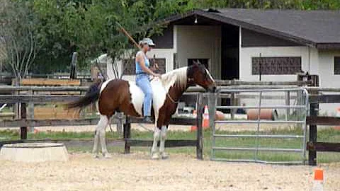 Christy Rogers L3 Freestyle Assessment/Passe...  !!