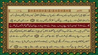 6 SURAH ANAAM JUST URDU TRANSLATION WITH TEXT FATEH MUHAMMAD JALANDRI HD