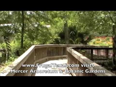 Mercer Arboretum Botanic Gardens Frugal Things To Do In