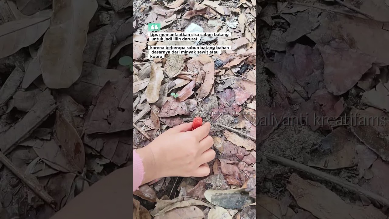 fungsi lain sabun batang #lifehacks #tipsandtricks #viralvideo #trending #shorts