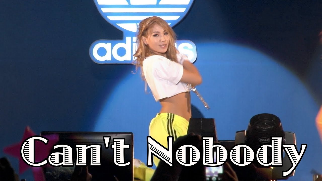2NE1 'Can't Nobody' Live on Snoop Doog concert (스눕독 내한공연)