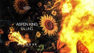 Aspen King - Falling (Official Audio)