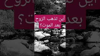 أين تذهب الرّوح بعد الموت؟ الشيخ_مصطفى_العدوي مصطفى_العدوي فتاوى_الشيخ_مصطفى_العدوي مقاطع_قصيرة