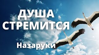 ДУША СТРЕМИТСЯ В ГОЛУБЫЕ ДАЛИ | Назаруки