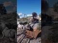 Simulate extreme survival skills in rdr2 vol70 #shorts #short