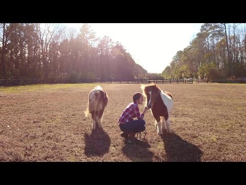 628 Blackwater Rd, Chesapeake, VA home video tour
