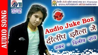 NEW CG SONG DILEEP  JHOLA GE DILIP RAY HIT CHHATTISGARHI GEET HD VIDEO 2016 AVM STUDIO RAIPUR