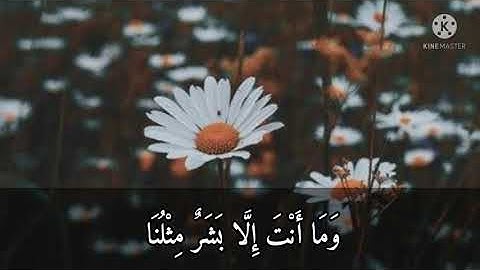 كَذَّبَ أَصْحَابُ الْأَيْكَةِ الْمُرْسَلِينَ...|من سورة الشعراء|إسلام صبحي|راحة للقلب.. 💛💐