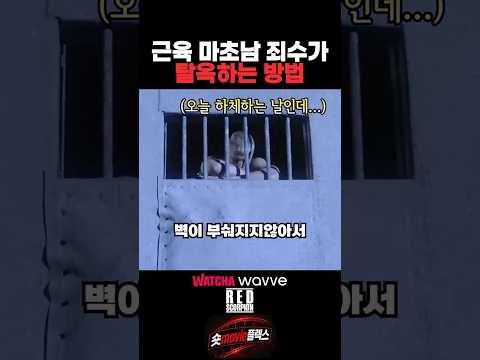 근육 마초남 죄수가 탈옥하는 방법 thumbnail