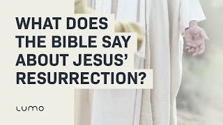 What does the Bible say about Jesus’ resurrection? - LUMO John 20