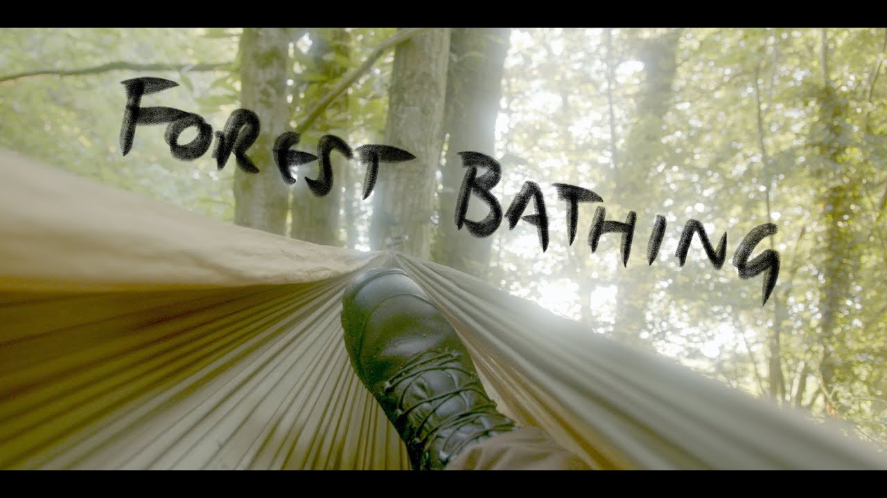 Forest Bathing Tips for Mental Wellness YouTube