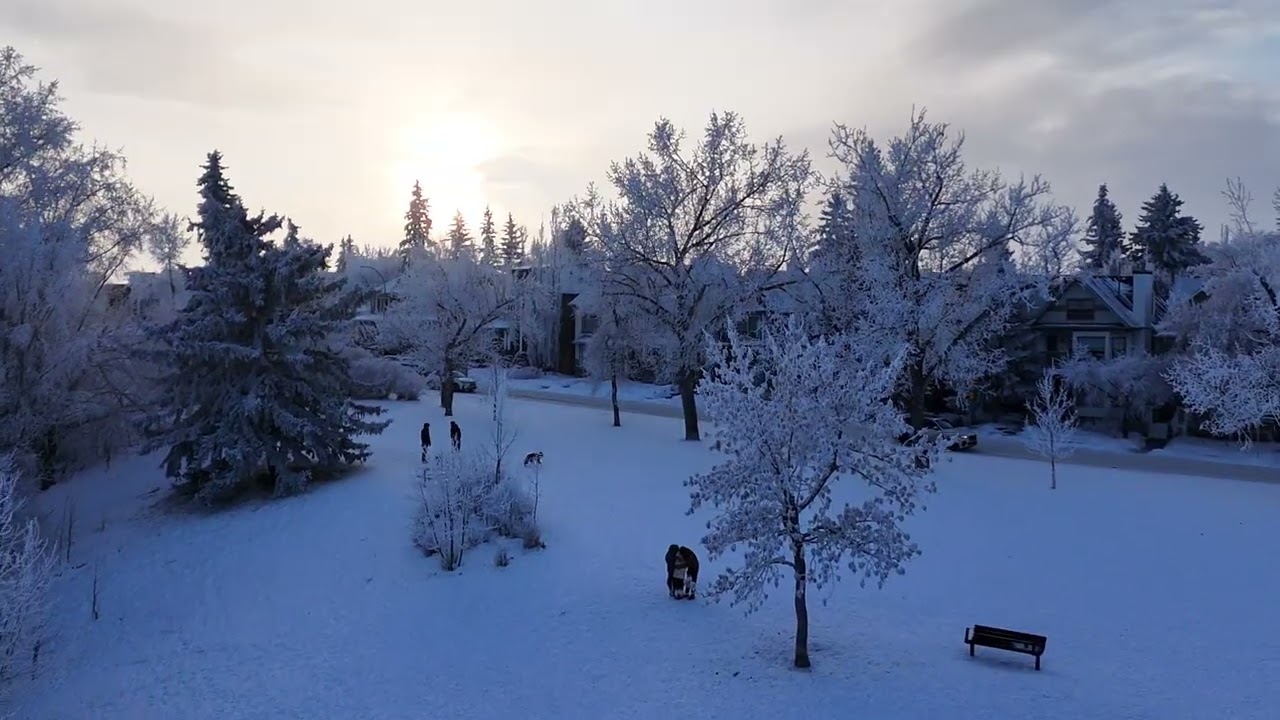 Incredible views of rime in Calgary!