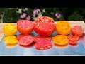 Tomatoes, The Best Varieties?