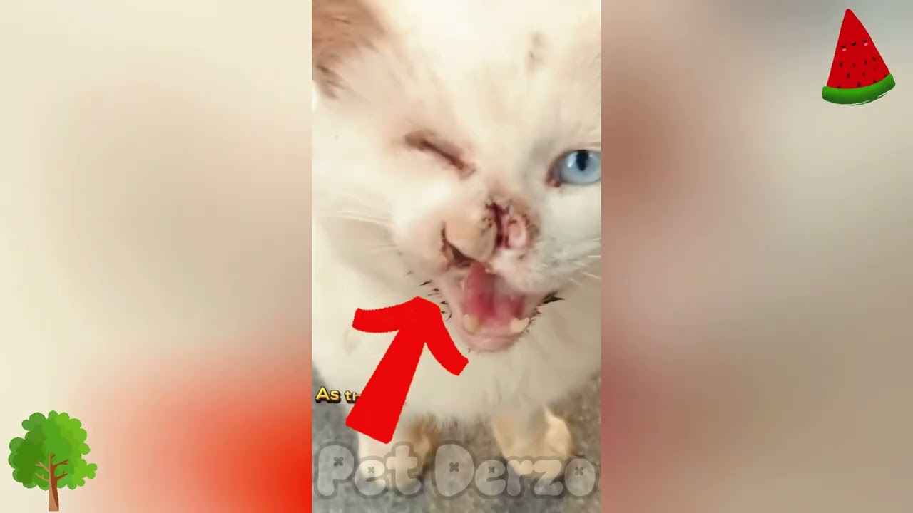 Another Life Saved ❤️🐾 | Dog & Cat Rescue Moments