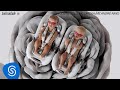 Costa Gold - Intimidade (feat. MC Dricka) [prod. André Nine] Visualizer Oficial
