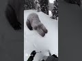 #yeti #snowman