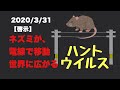 2020/3/31【啓示】ハンタウイルス〜あなたの力を貸して下さい！