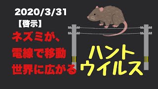 2020/3/31【啓示】ハンタウイルス〜あなたの力を貸して下さい！