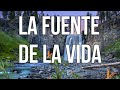 LA FUENTE de la VIDA-IMAGINACIÓN-CREACIÓN Neville Goddard (Voz humana hombre)