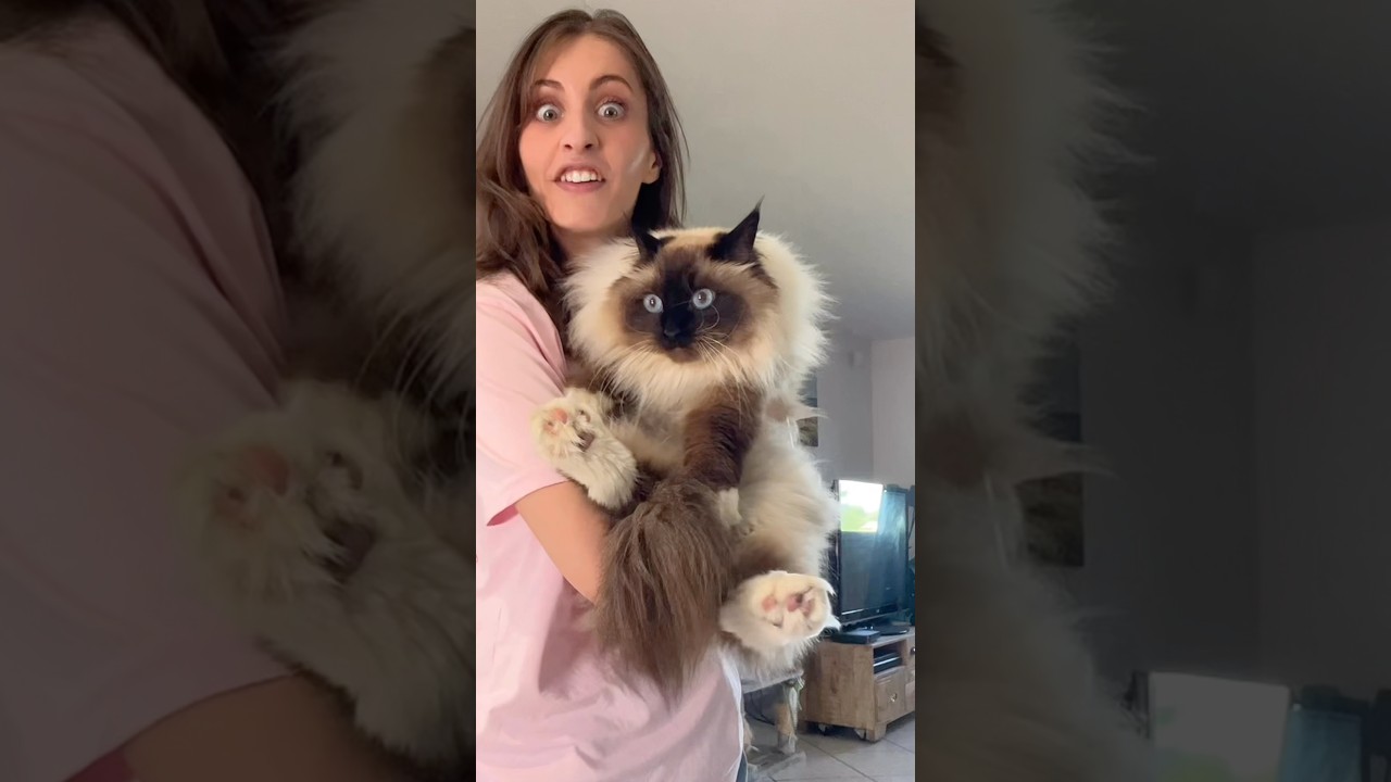 AHHHH 🤣 mon nouveau sac !! Vous validez ?