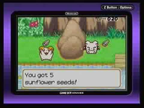 Hamtaro: Ham-Ham Heartbreak! Part 1