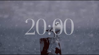 20 Minute Countdown Timer (Bird/Winter/Snow/Relaxing Music) screenshot 3